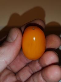 Miniature photo_fev_25_2014