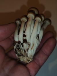 Miniature photo_fev_25_1849