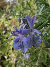 Miniature photo_fev_25_1813