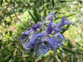 Miniature photo_fev_25_1812