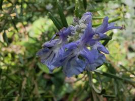 Miniature photo_fev_25_1811