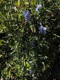 Miniature photo_fev_25_1809