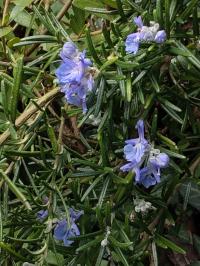 Miniature photo_fev_25_1806