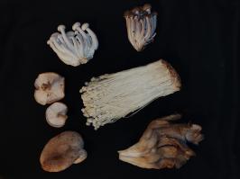 Miniature photo_fev_25_1704
