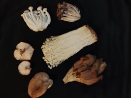 Miniature photo_fev_25_1689