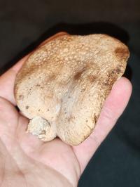 Miniature photo_fev_25_1662