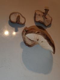 Miniature photo_fev_25_1652