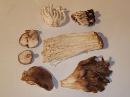 Miniature photo_fev_25_1645