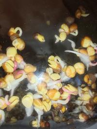 Miniature photo_fev_25_1583
