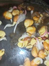 Miniature photo_fev_25_1582