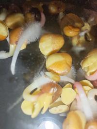 Miniature photo_fev_25_1580