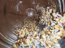 Miniature photo_fev_25_1574