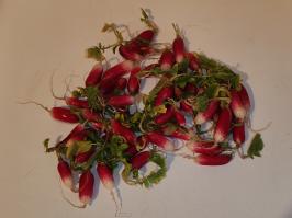 Miniature photo_fev_25_1386