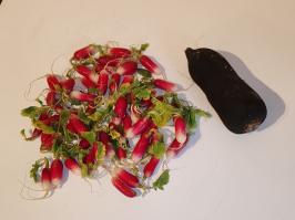 Miniature photo_fev_25_1385
