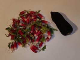 Miniature photo_fev_25_1384
