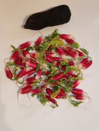 Miniature photo_fev_25_1383