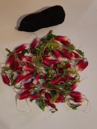 Miniature photo_fev_25_1382