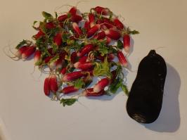 Miniature photo_fev_25_1380