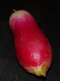 Miniature photo_fev_25_1331