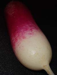 Miniature photo_fev_25_1330