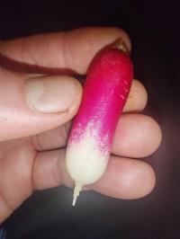Miniature photo_fev_25_1328