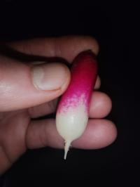 Miniature photo_fev_25_1327