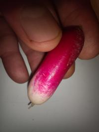Miniature photo_fev_25_1323