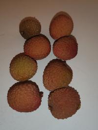 Miniature photo_fev_25_1285