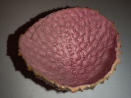 Miniature photo_fev_25_1280