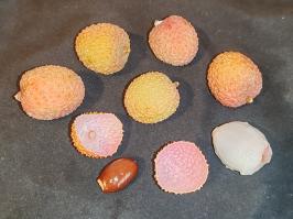 Miniature photo_fev_25_1266