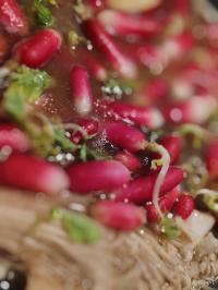 Miniature photo_fev_25_1226