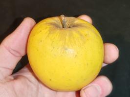 Miniature photo_fev_25_1120