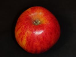 Miniature photo_fev_25_1107