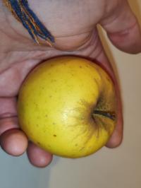 Miniature photo_fev_25_1082
