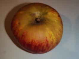 Miniature photo_fev_25_1079