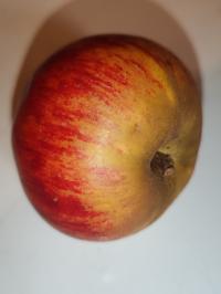 Miniature photo_fev_25_1078