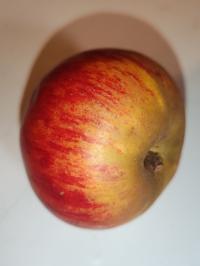 Miniature photo_fev_25_1077