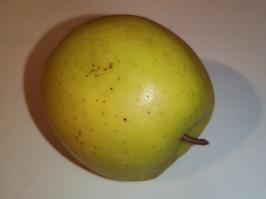 Miniature photo_fev_25_1066