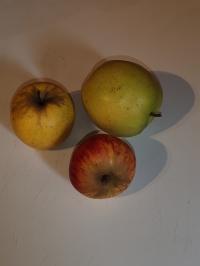 Miniature photo_fev_25_1056