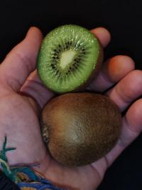 Miniature photo_fev_25_1028