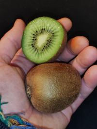 Miniature photo_fev_25_1027
