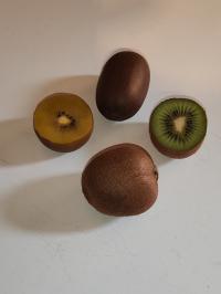 Miniature photo_fev_25_1012
