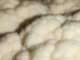 Miniature photo_fev_25_902