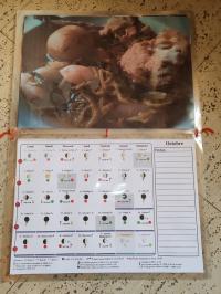 Miniature photo_fev_25_860