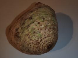 Miniature photo_fev_25_770