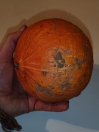 Miniature photo_fev_25_655