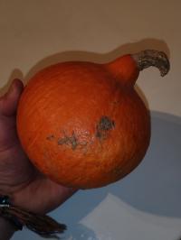 Miniature photo_fev_25_654