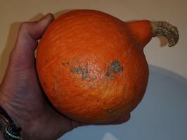 Miniature photo_fev_25_652