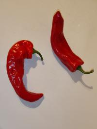 Miniature photo_fev_25_626