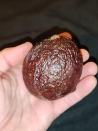 Miniature photo_fev_25_594